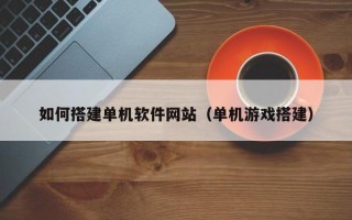 文山如何搭建单机软件网站（单机游戏搭建）